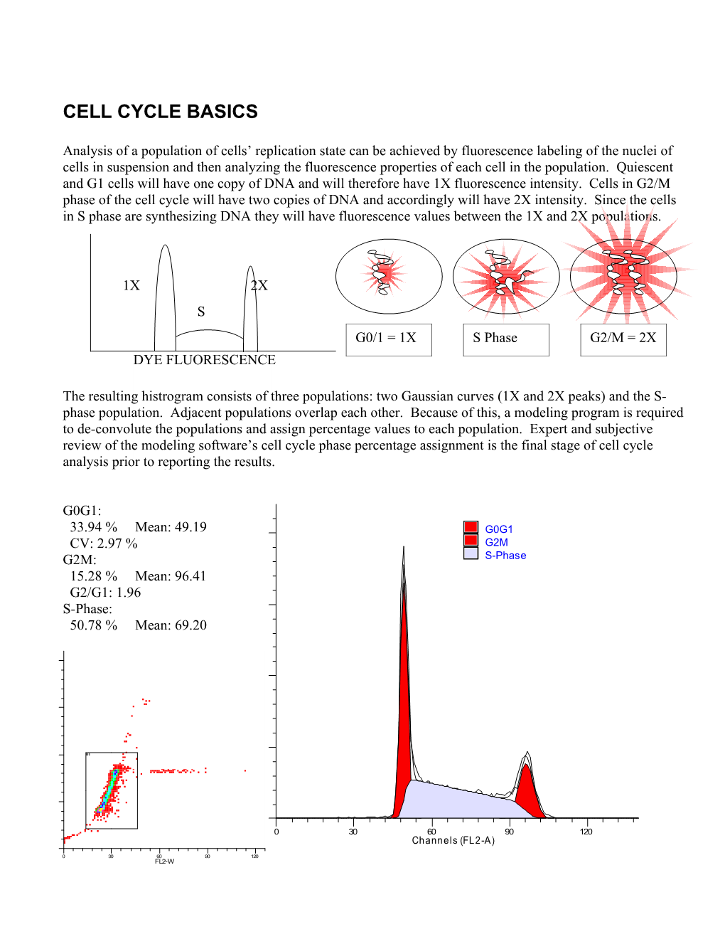 Cell Cycle Fundamentals