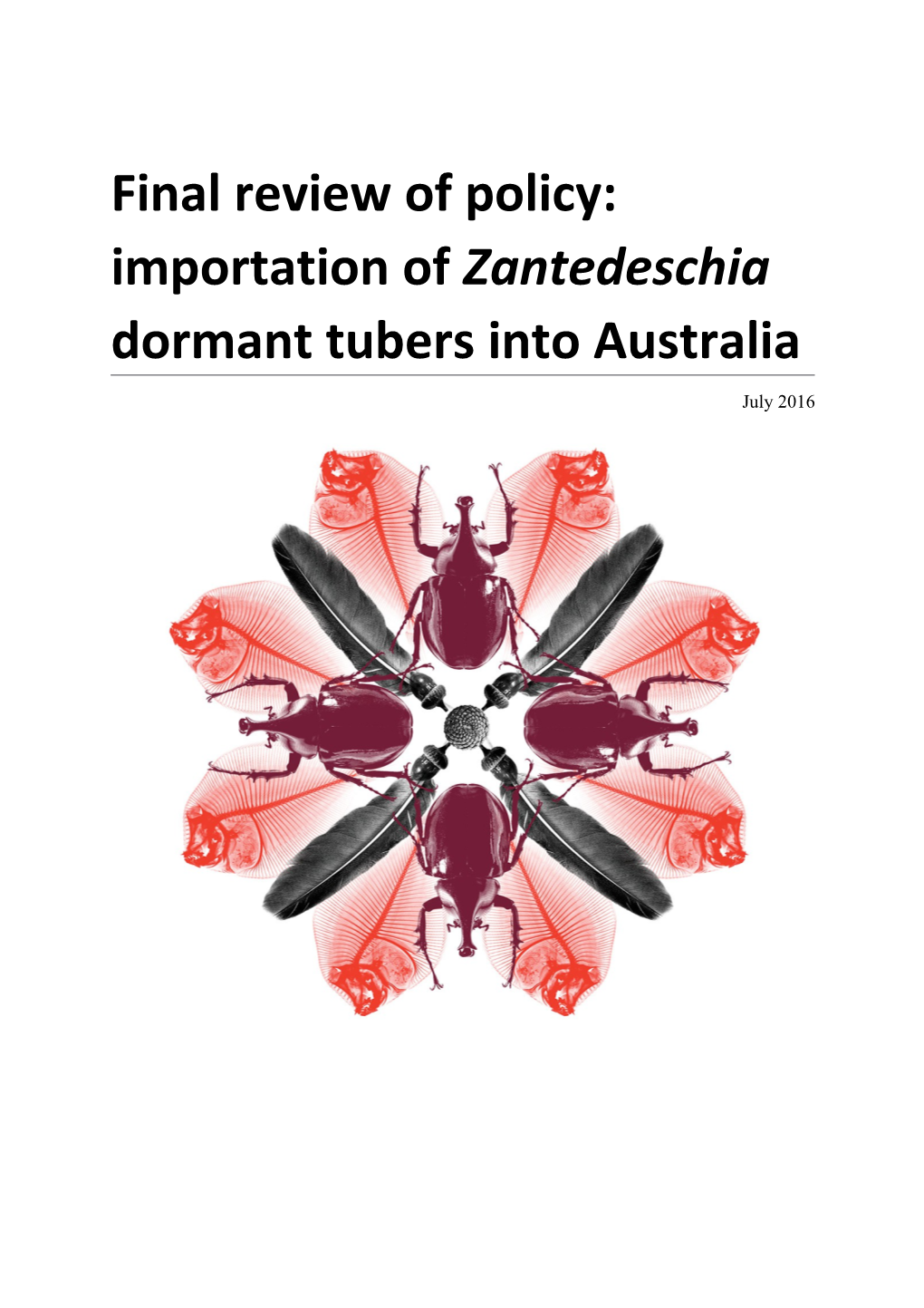 Final Review of Policy: Importation of Zantedeschia Dormant Tubers Into Australia