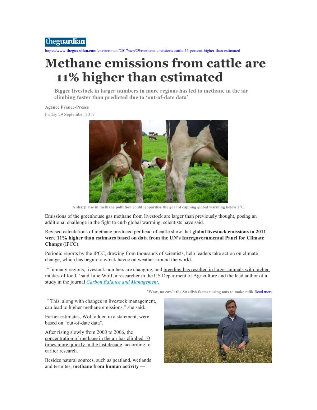 Methane Emissions from Cattle Are 11% Higher Than Estimated