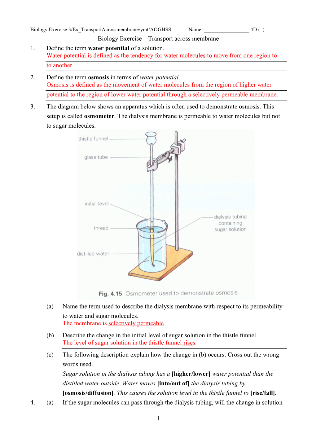 Biology Exercise Transport Across Membrane