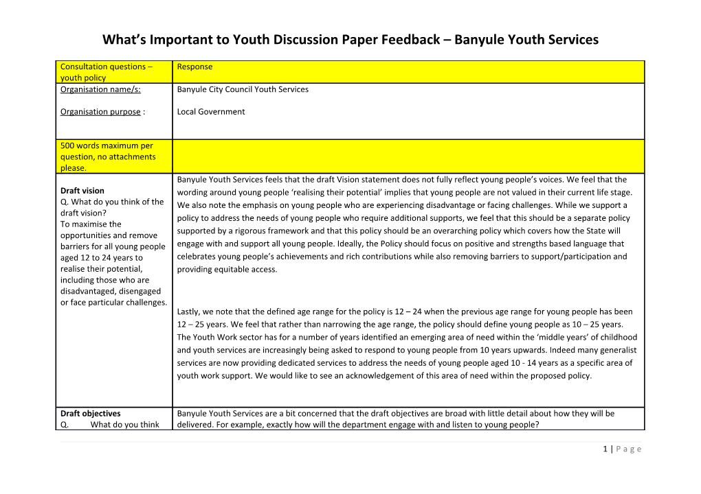 What S Important to Youth Discussion Paper Feedback Banyule Youth Services