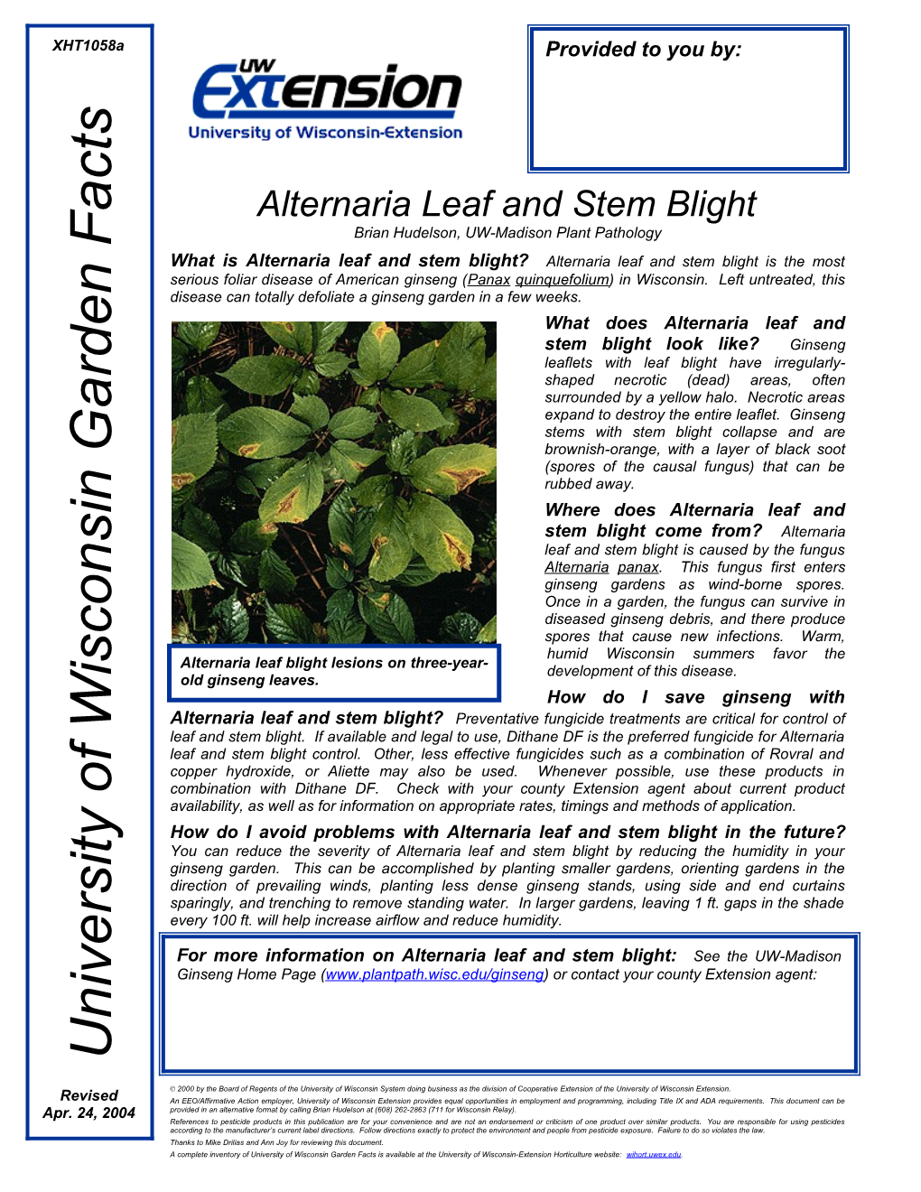 Alternaria Leaf and Stem Blight