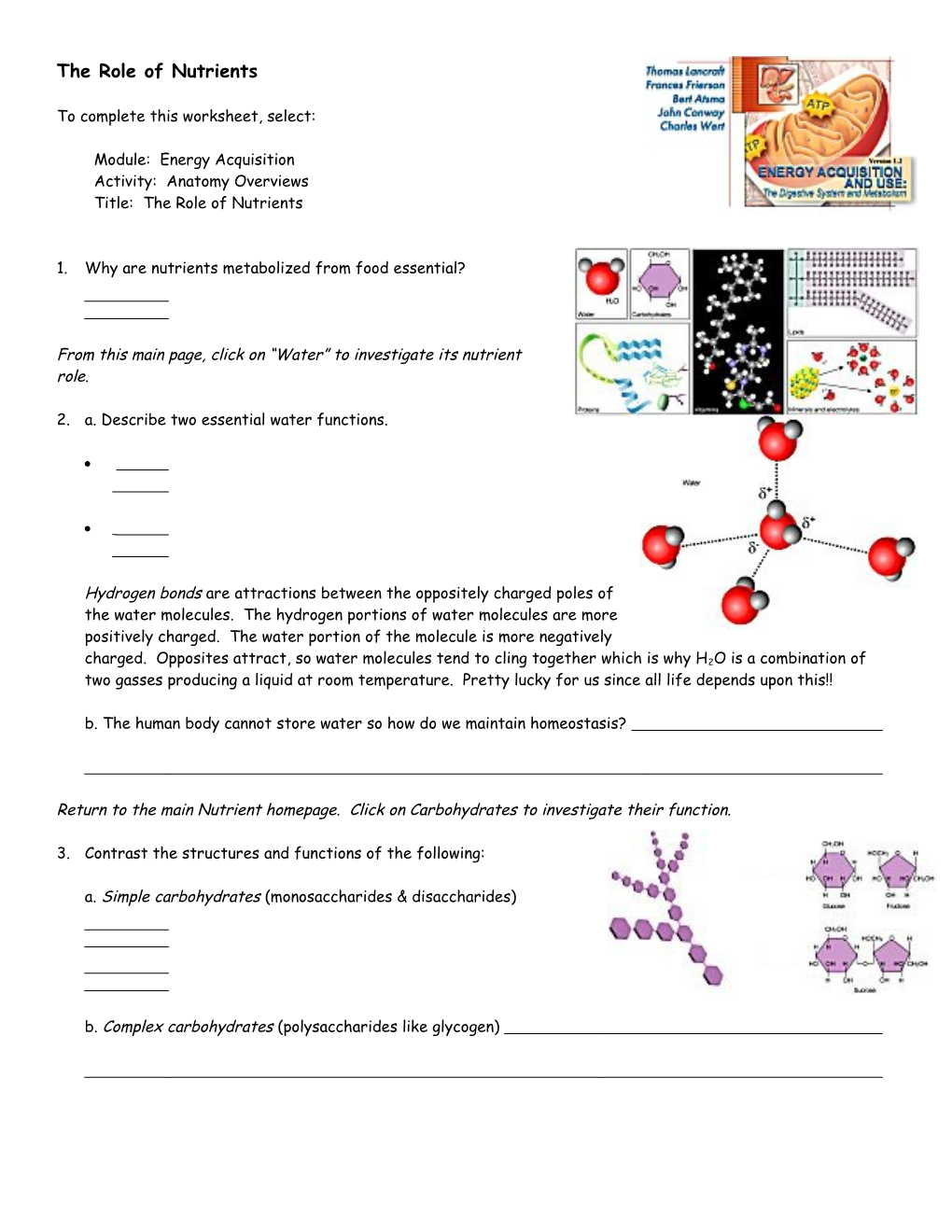 Endocrine System: Overview s2