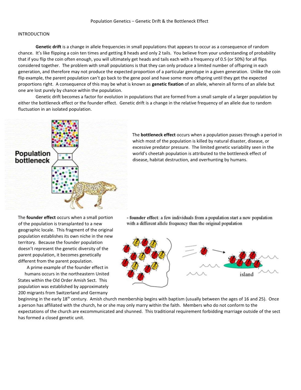 Population Genetics Natural Selection