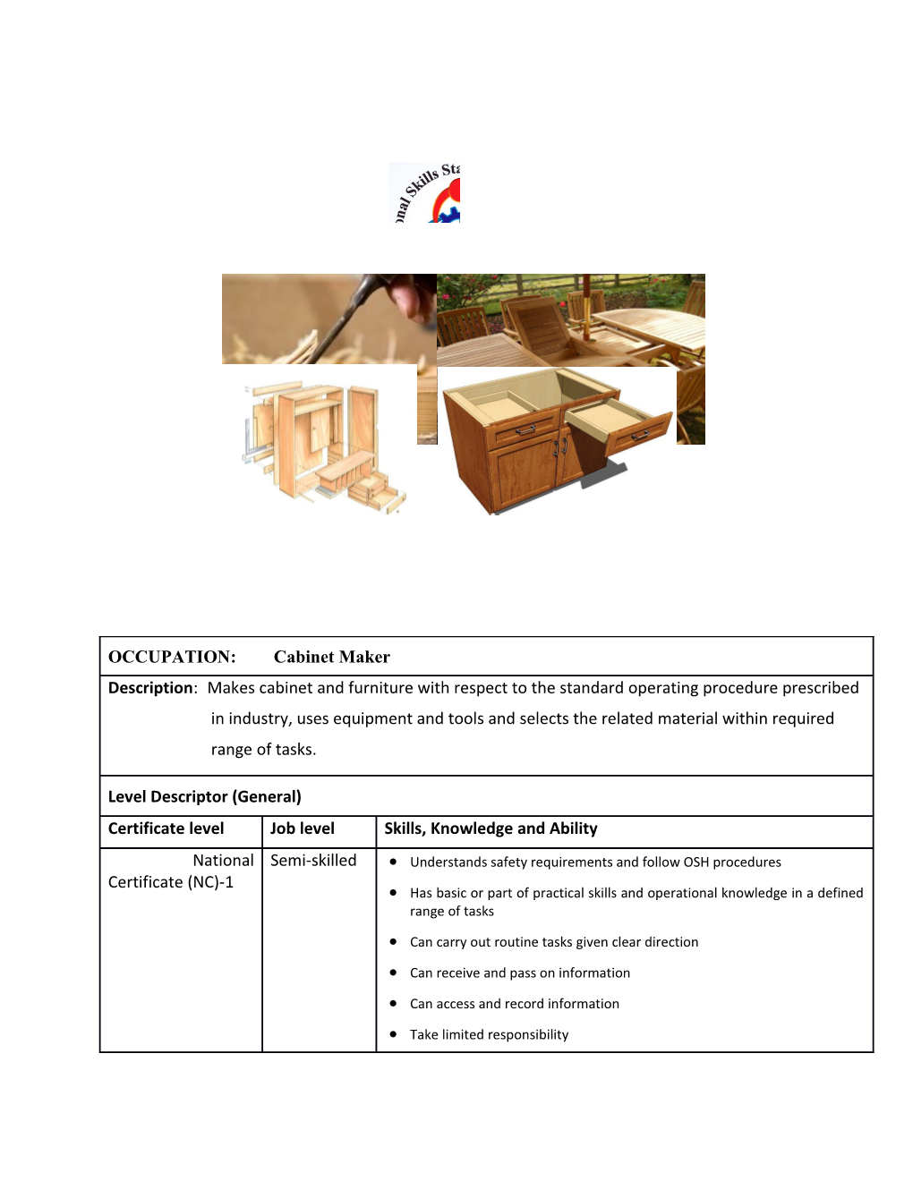 National Occupational Competency Standard s1