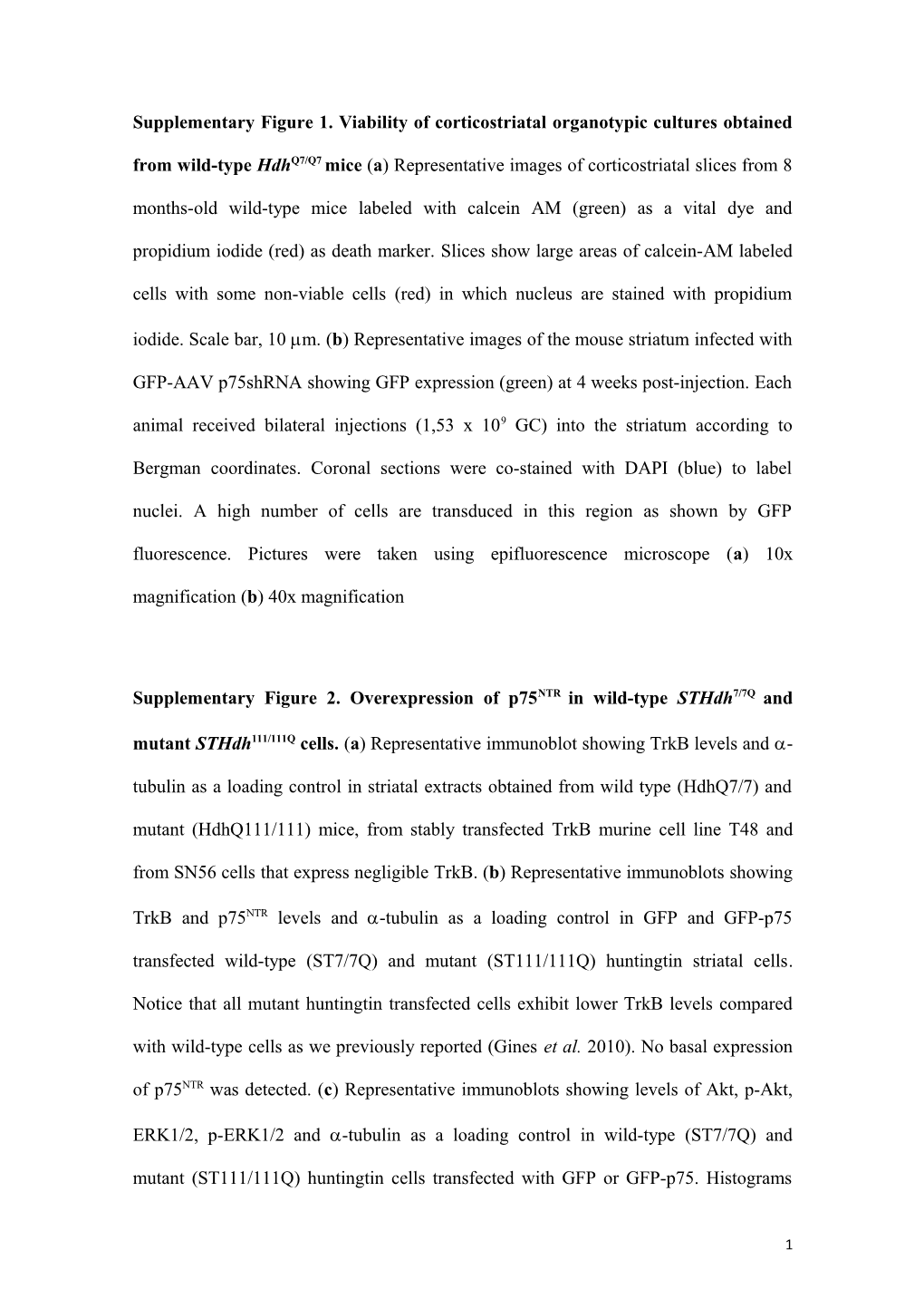 P75/Trkb Imbalance Contributes to the Selective Vulnerability of Striatal Neurons in A