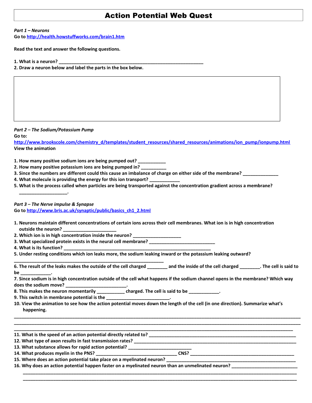 Action Potential Web Quest