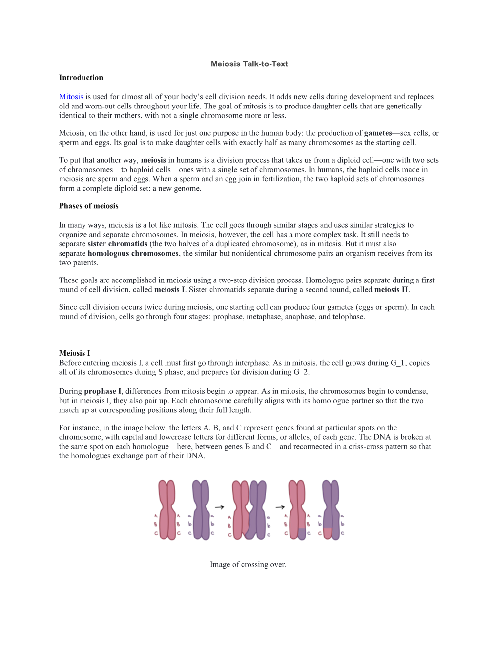 Meiosis Talk-To-Text