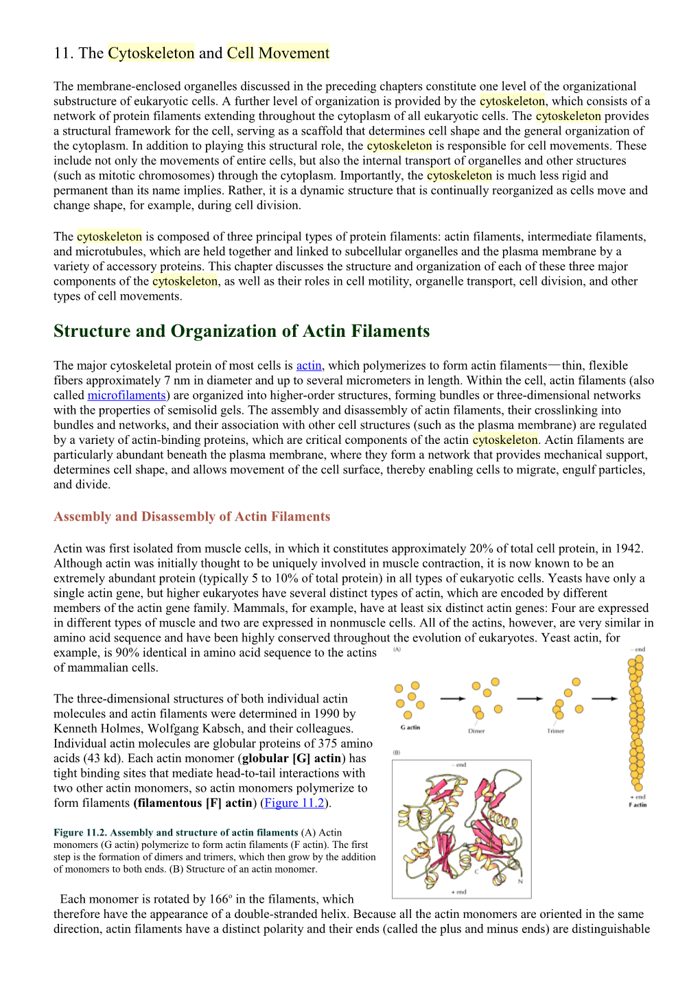 11. the Cytoskeleton and Cellmovement