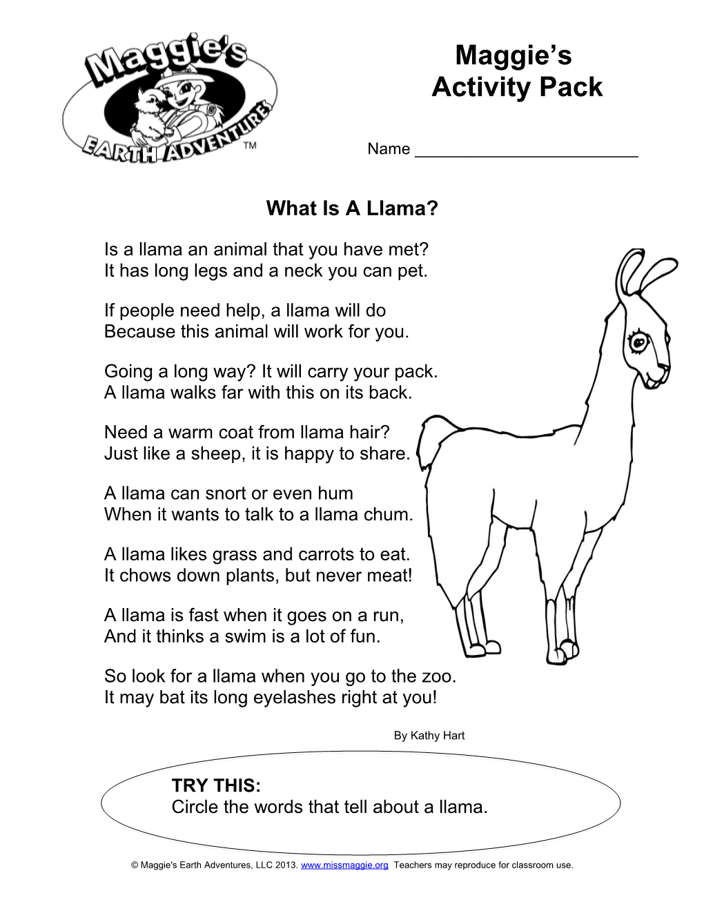 What Is a Llama?