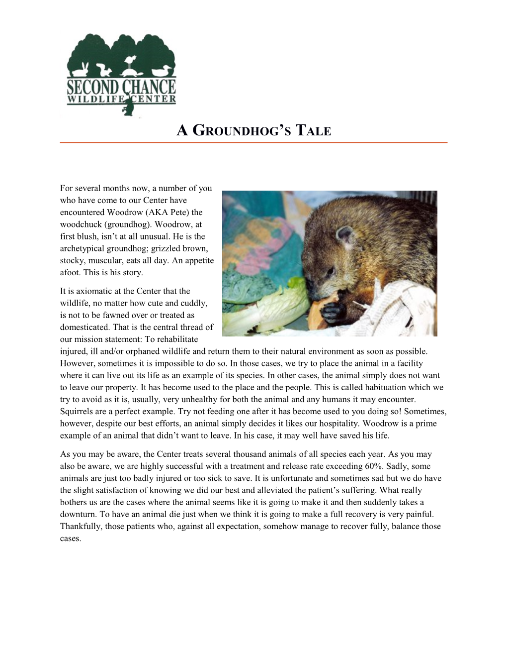 A Groundhog S Tale