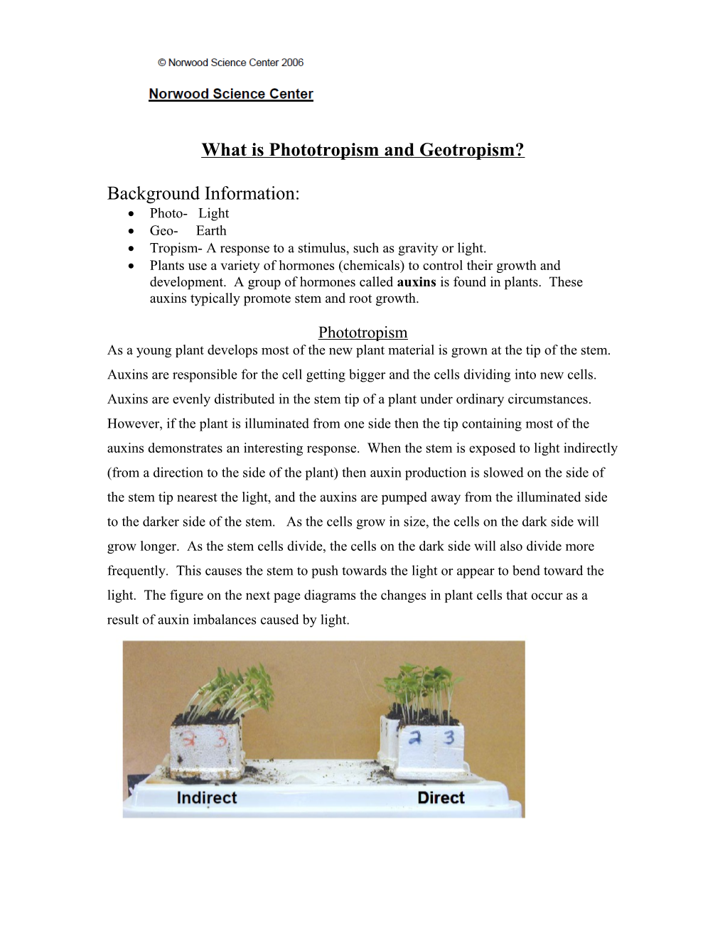 What Is Phototropism and Geotropism