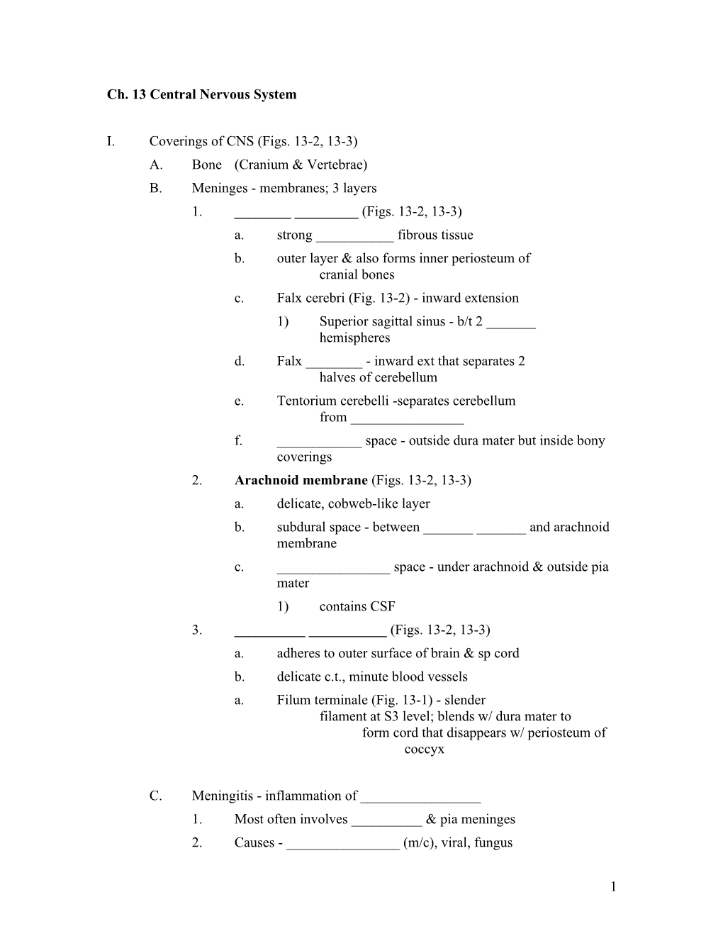 Ch. 13 Central Nervous System