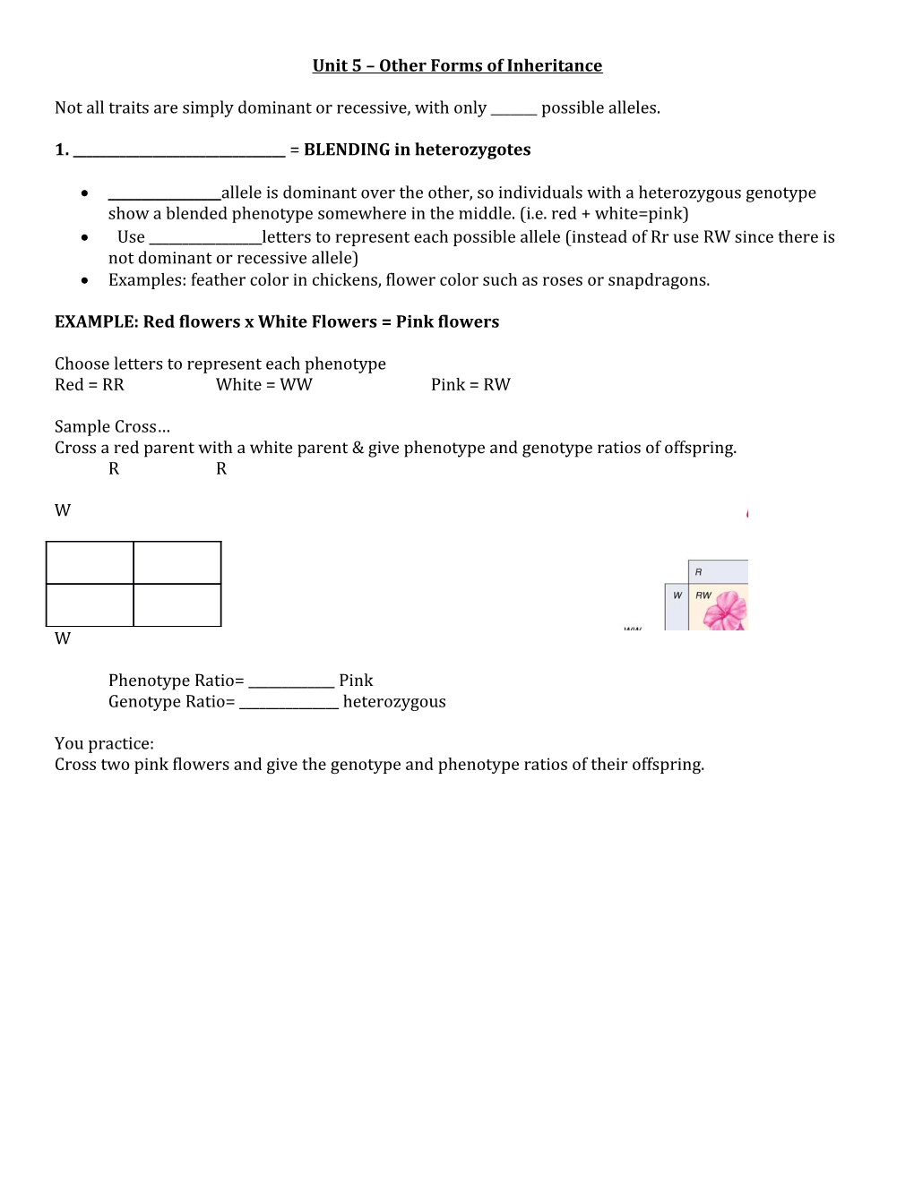 Unit 5 Other Forms of Inheritance