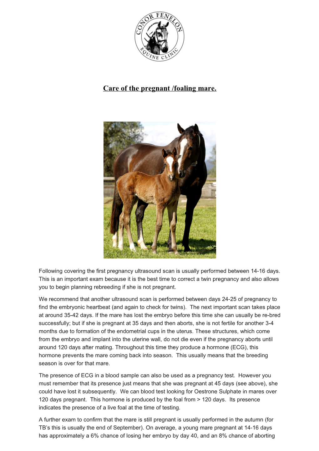 Care of the Pregnant /Foaling Mare