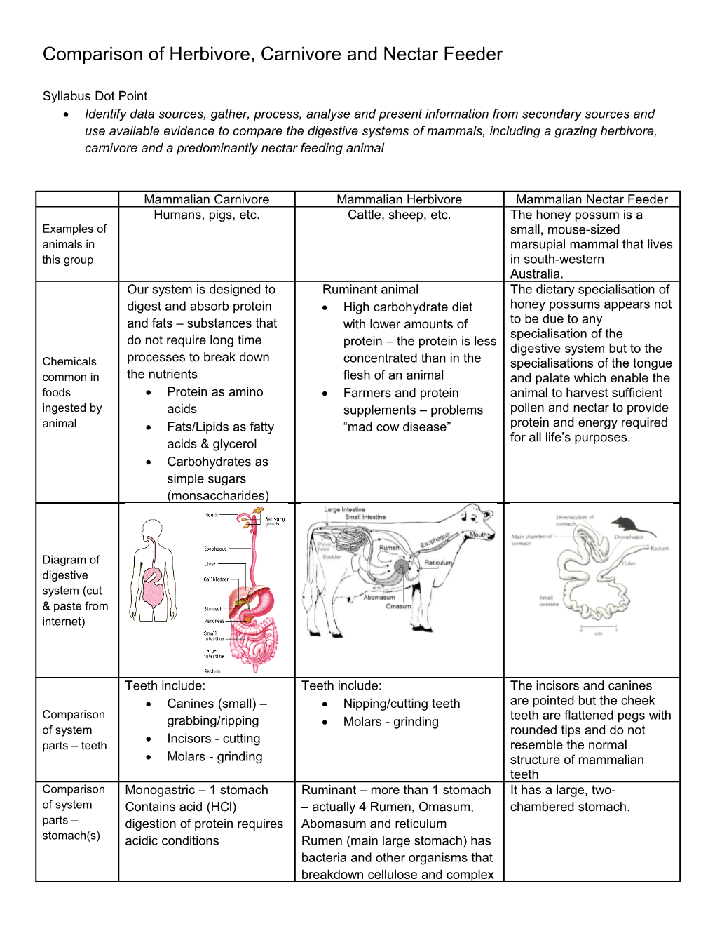 Comparison of Herbivore, Carnivore and Nectar Feeder