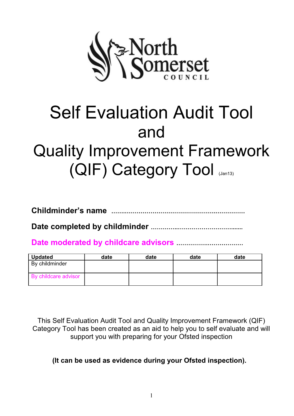 Self Evaluation Audit Tool