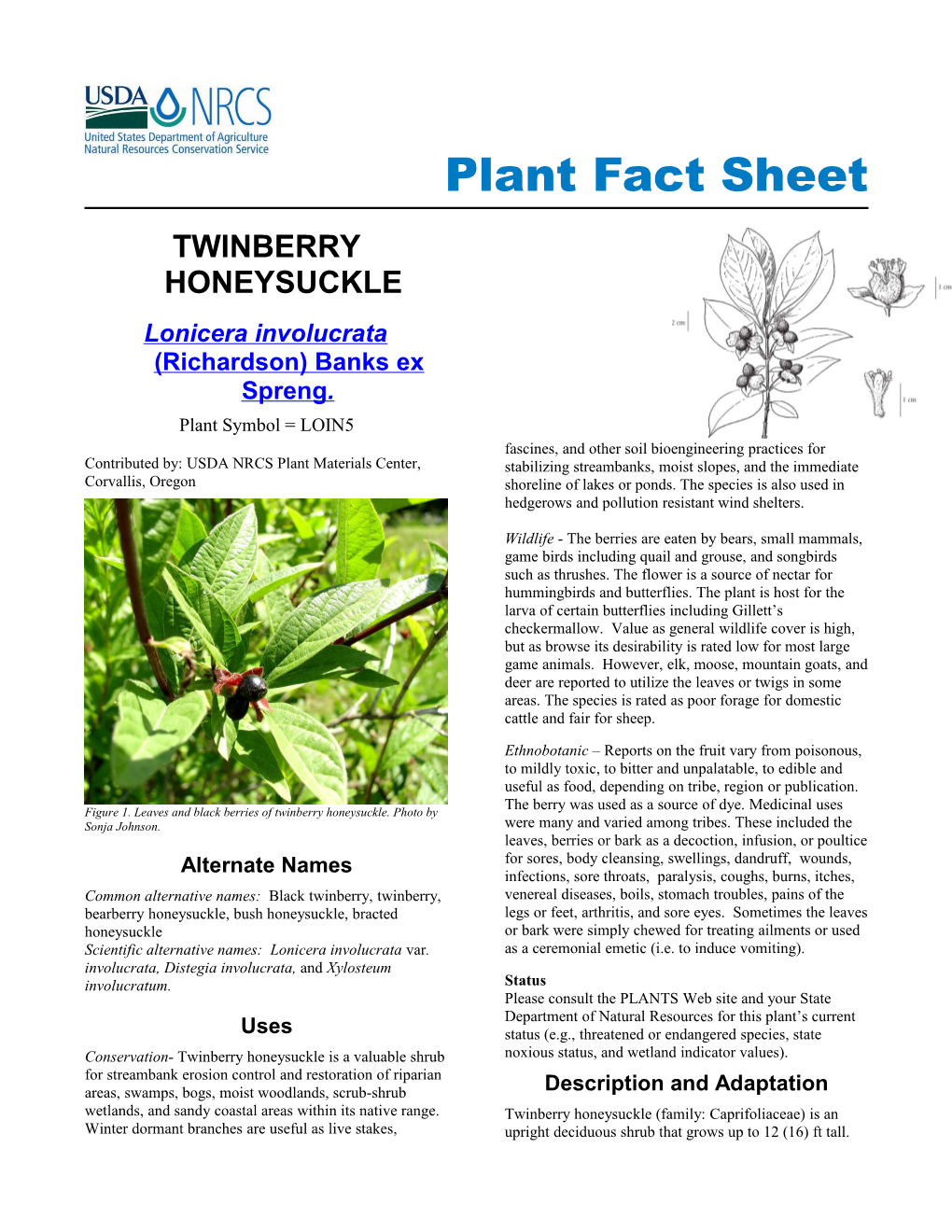 Plant Fact Sheet for Twinberry Honeysuckle (Lonicera Involucrata)