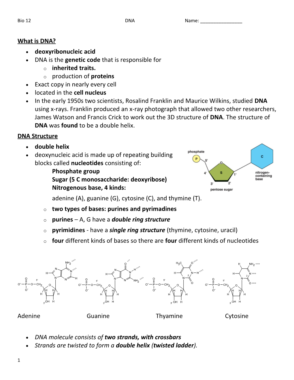 DNA Is the Genetic Code That Is Responsible For