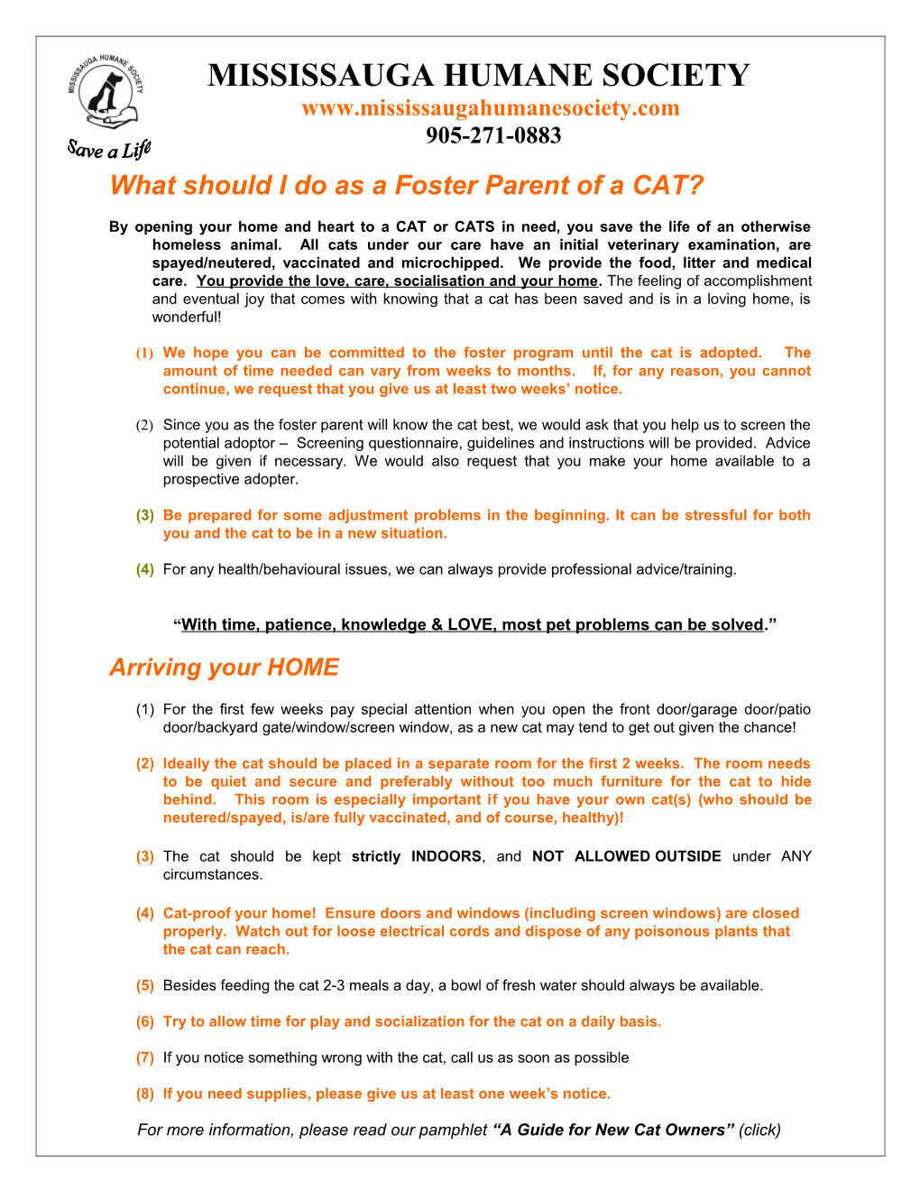 What Should I Do As a Foster Parent of a CAT?