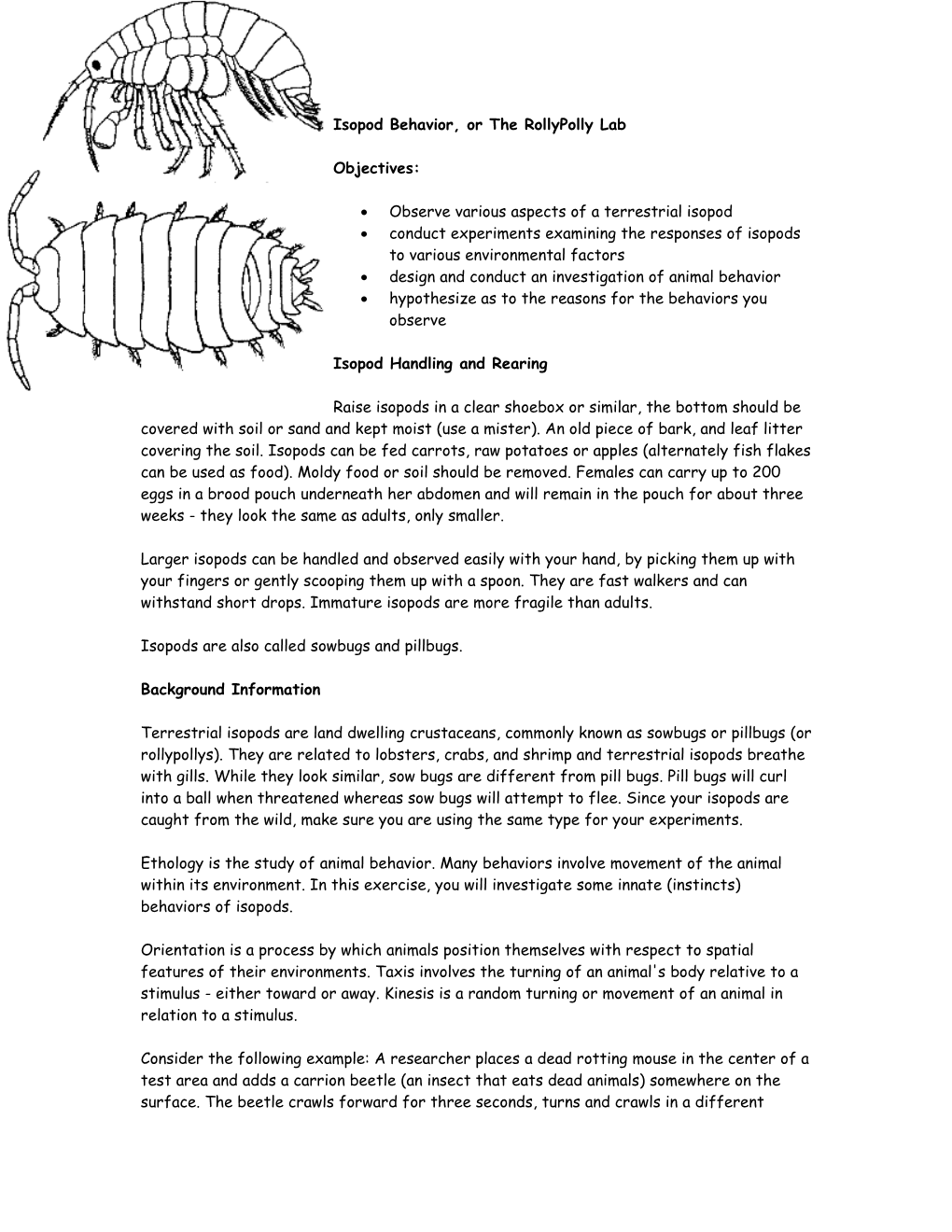 Isopod Behavior, Or the Rollypolly Lab