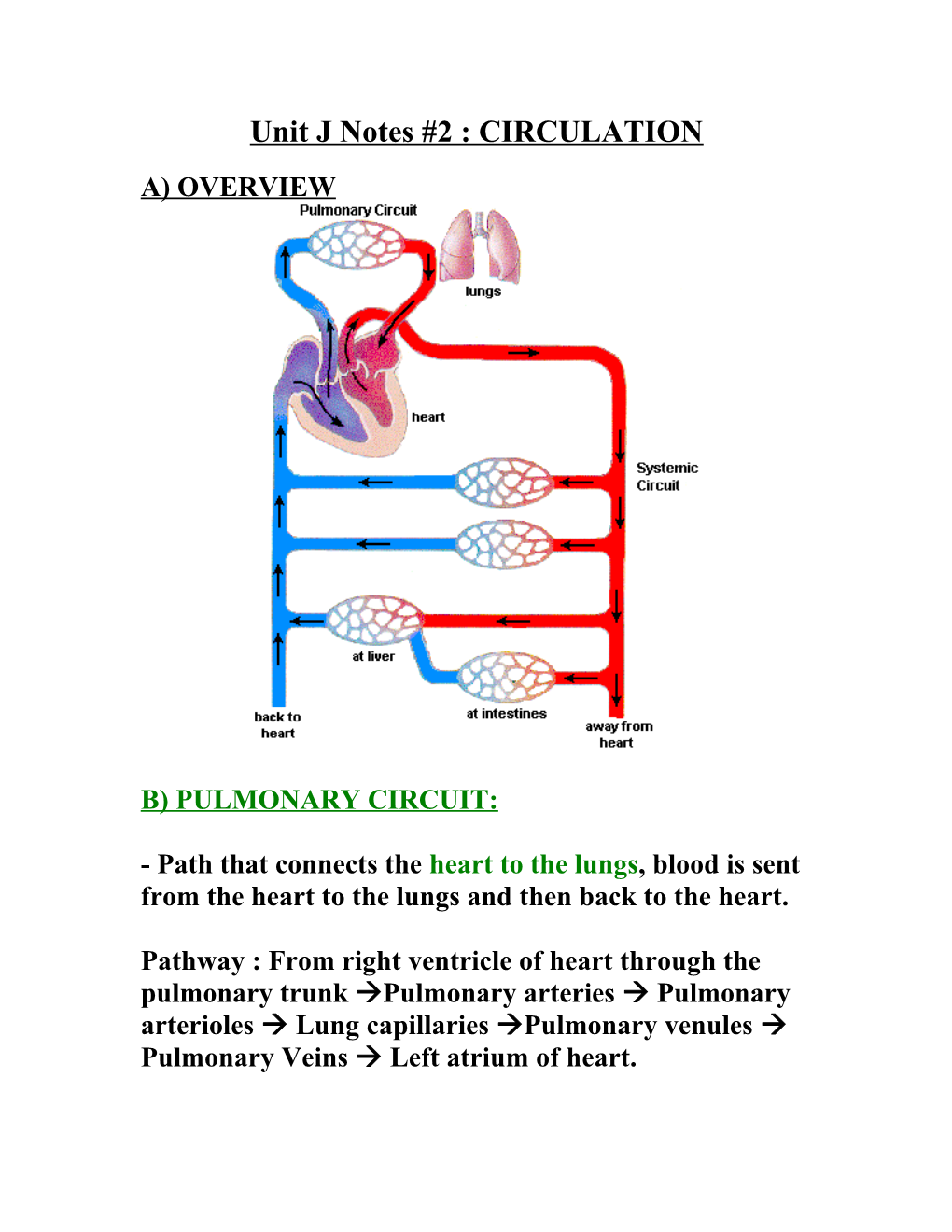 Unit J Notes #2 : CIRCULATION