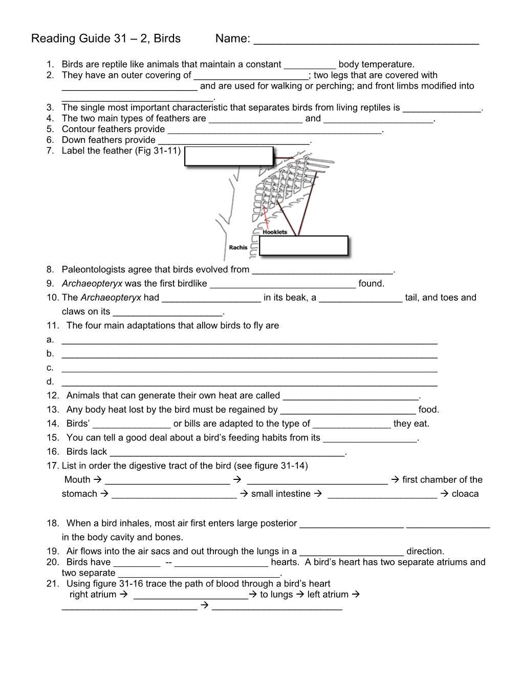 Reading Guide 31 2, Birds