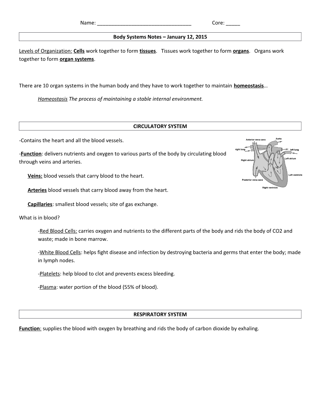 Body Systems Notes January 12, 2015