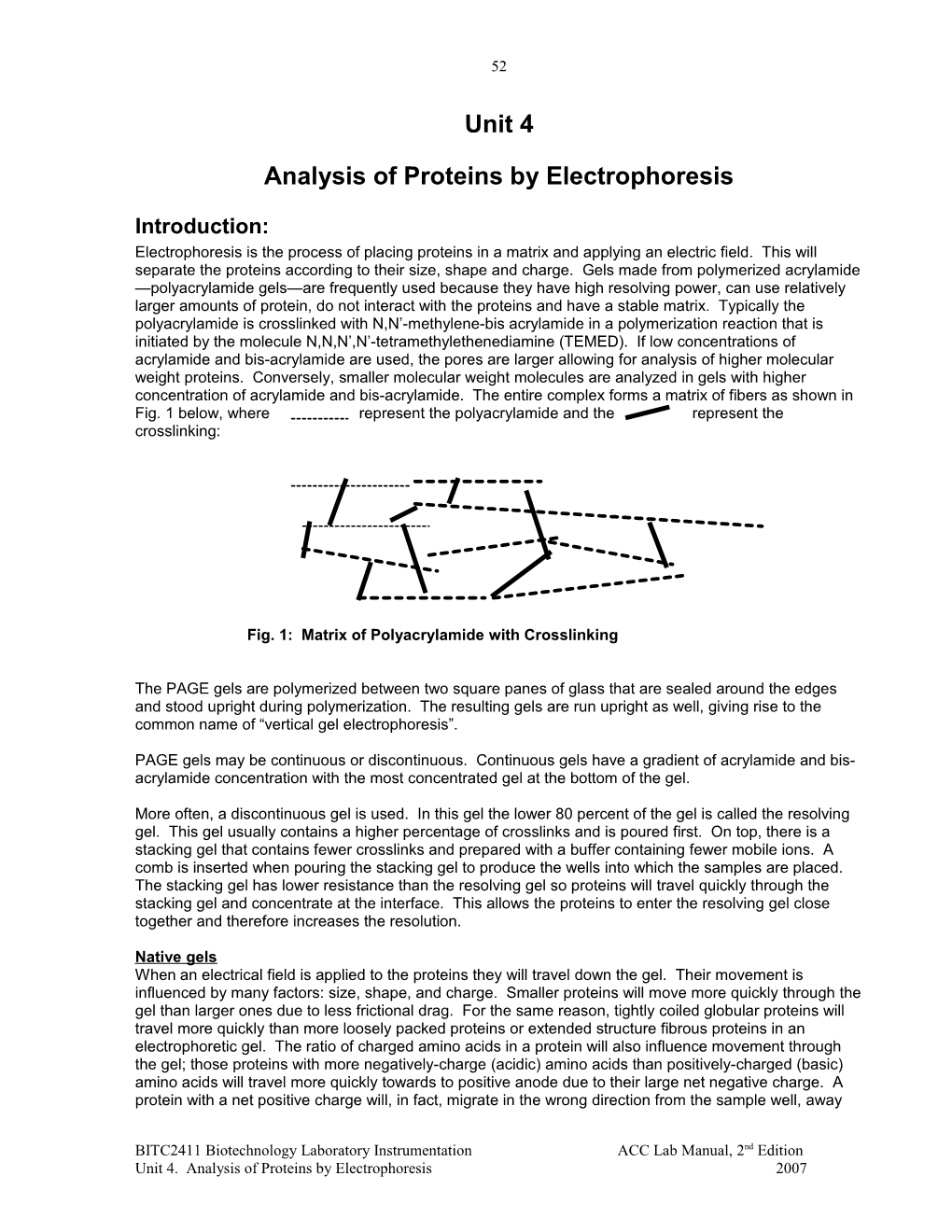 Analysis of Proteins by Electrophoresis