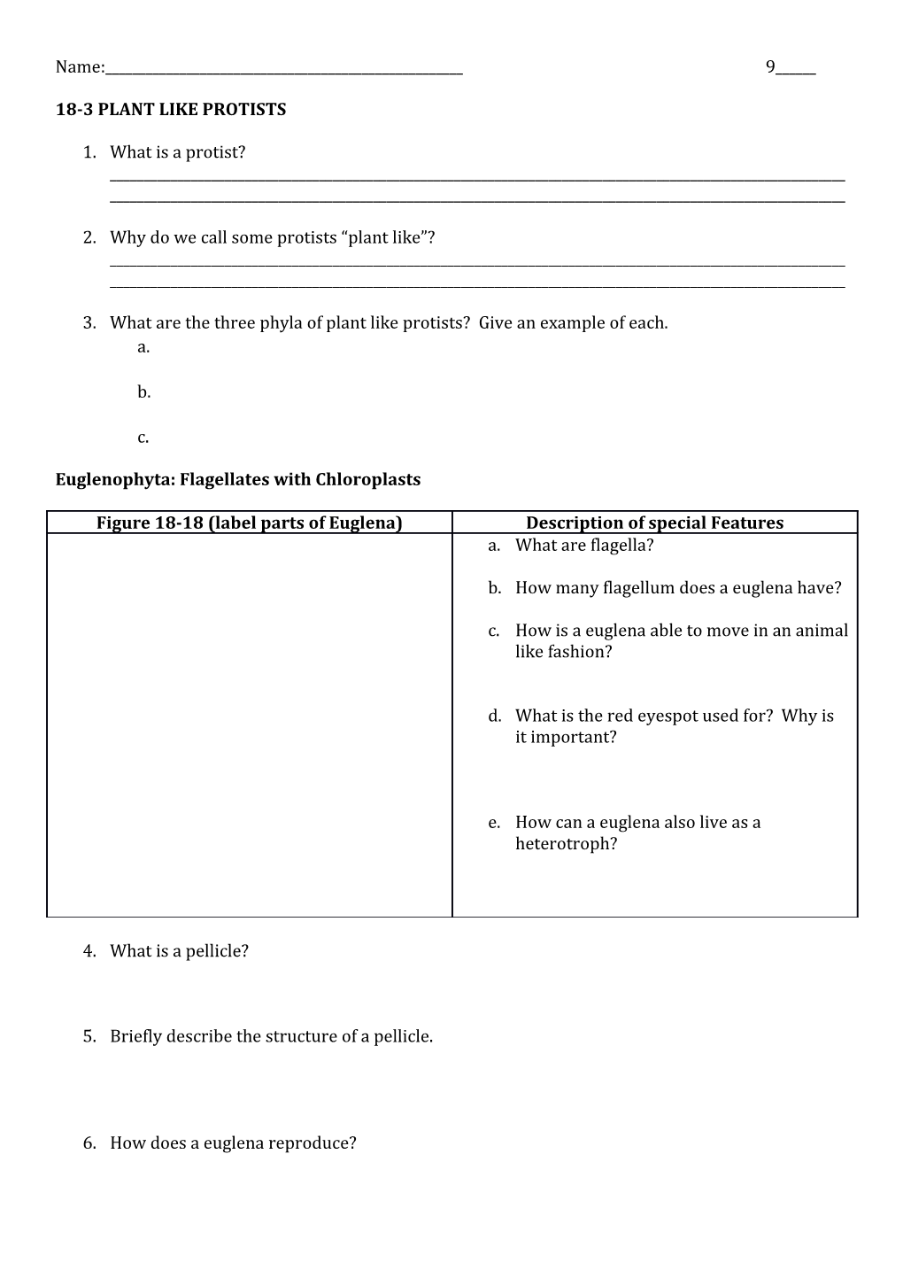 18-3 Plant Like Protists