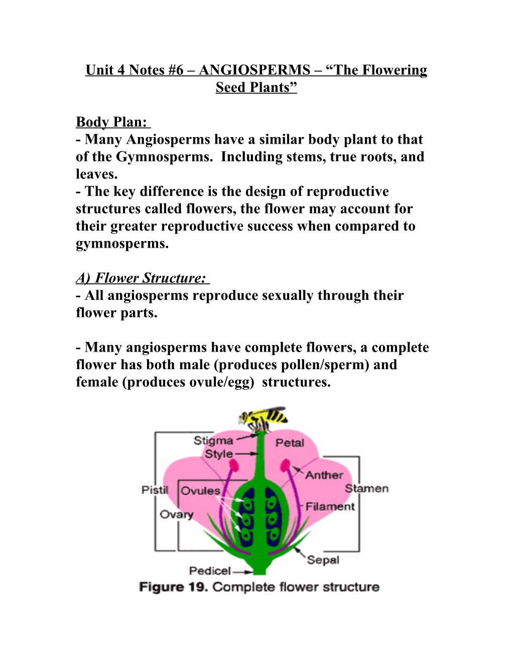 Unit 4 Notes #6 ANGIOSPERMS the Flowering Seed Plants