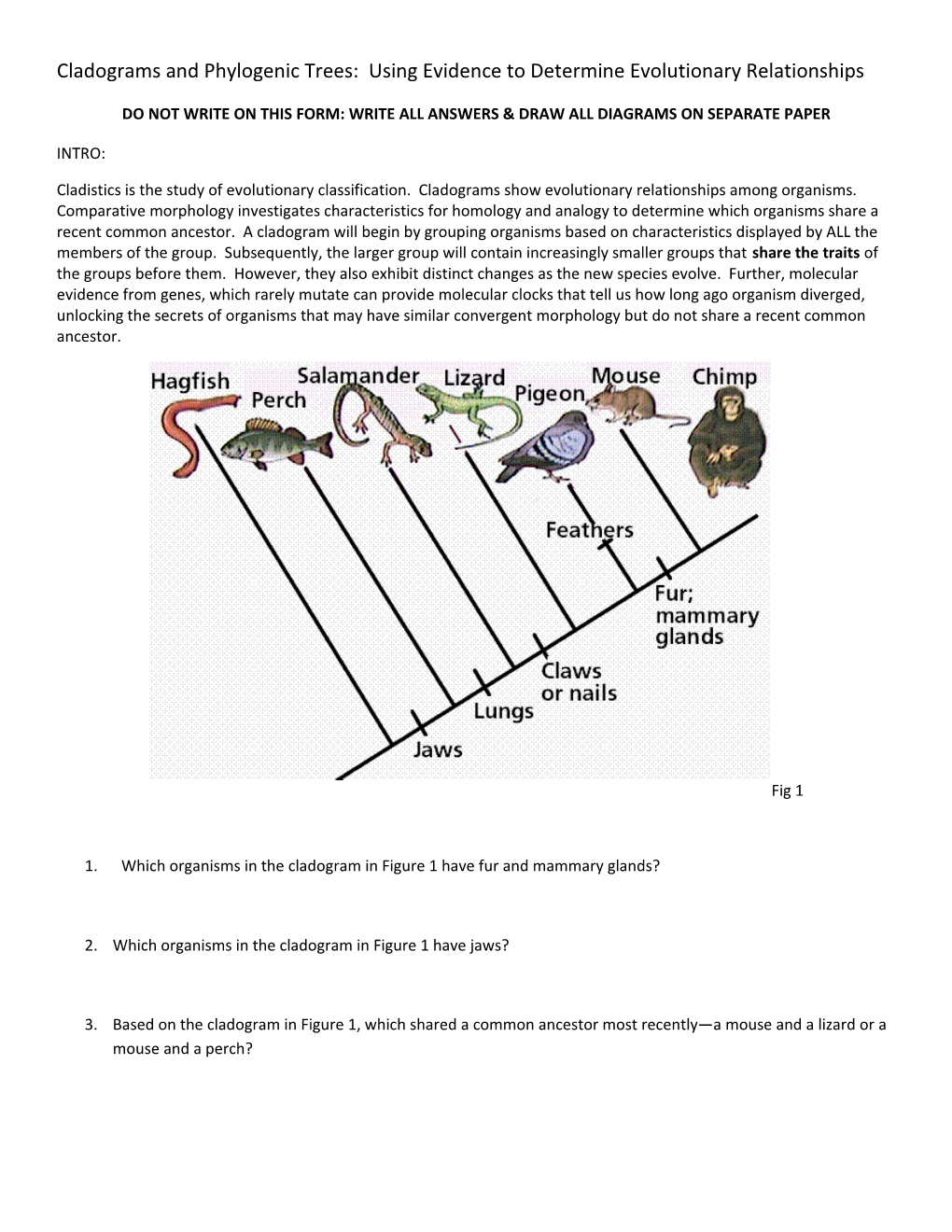 Cladograms and Phylogenic Trees: Using Evidence to Determine Evolutionary Relationships