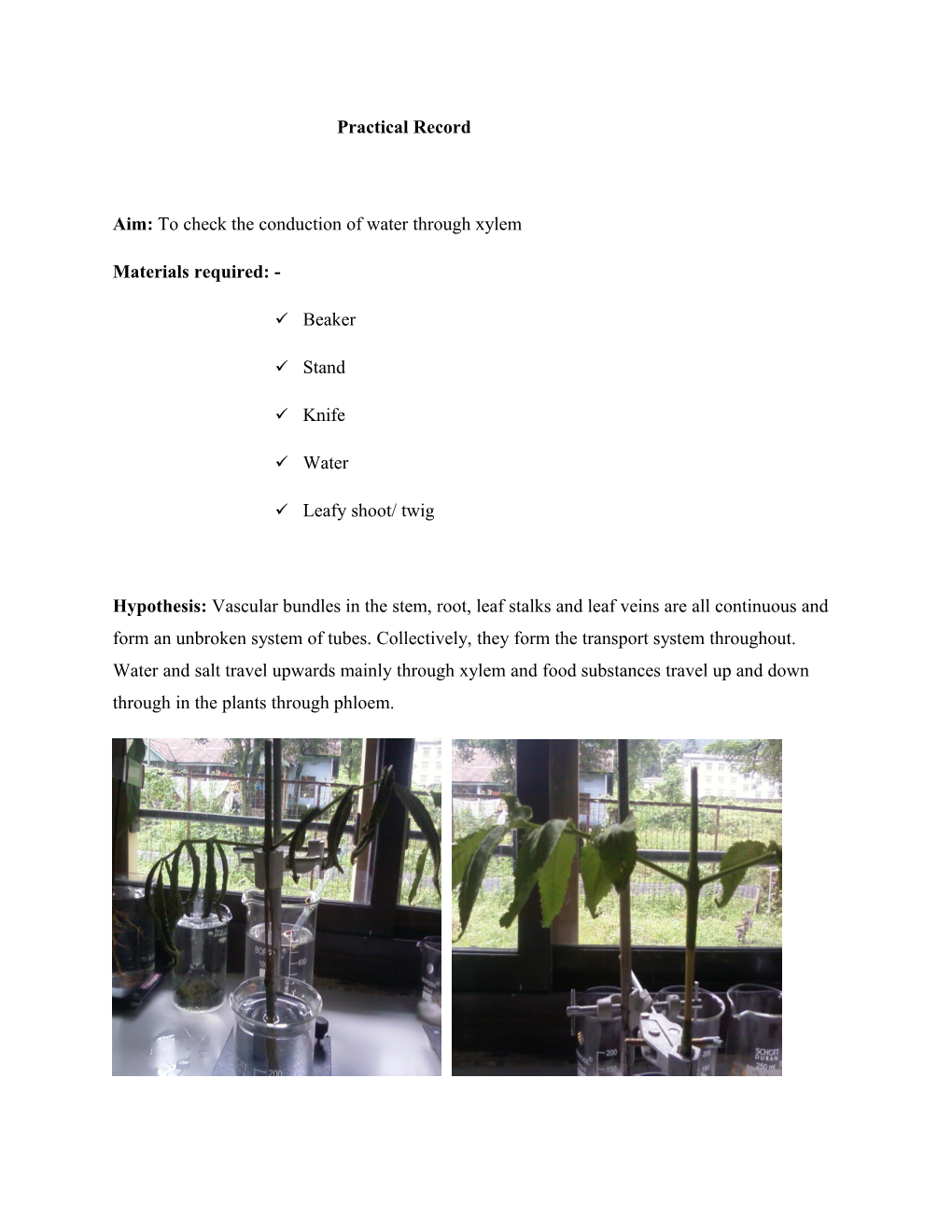 Aim: to Check the Conduction of Water Through Xylem