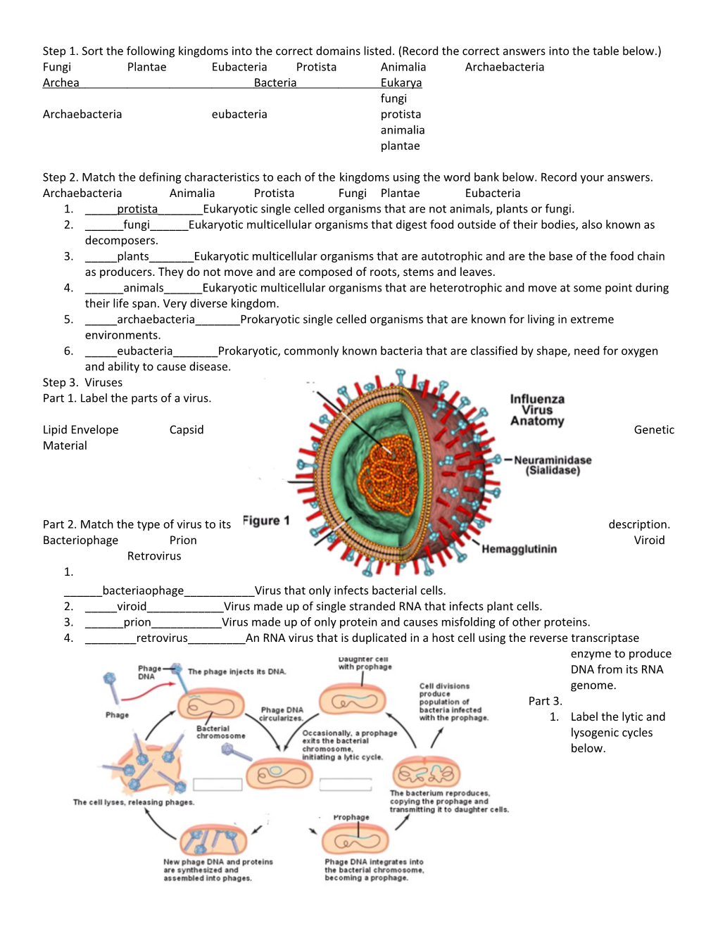 Fungi Plantae Eubacteria Protista Animalia Archaebacteria