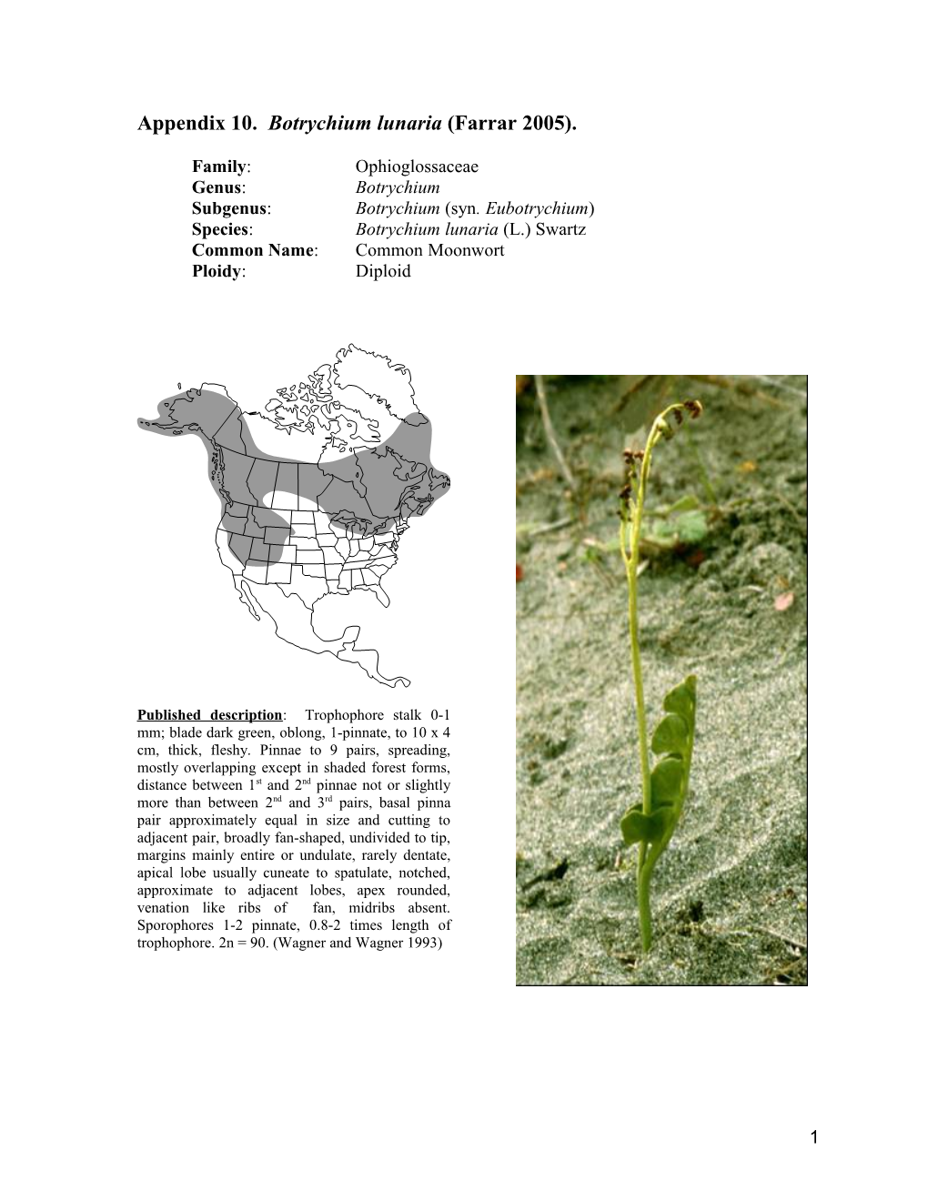 Appendix 10. Botrychiumlunaria(Farrar 2005)