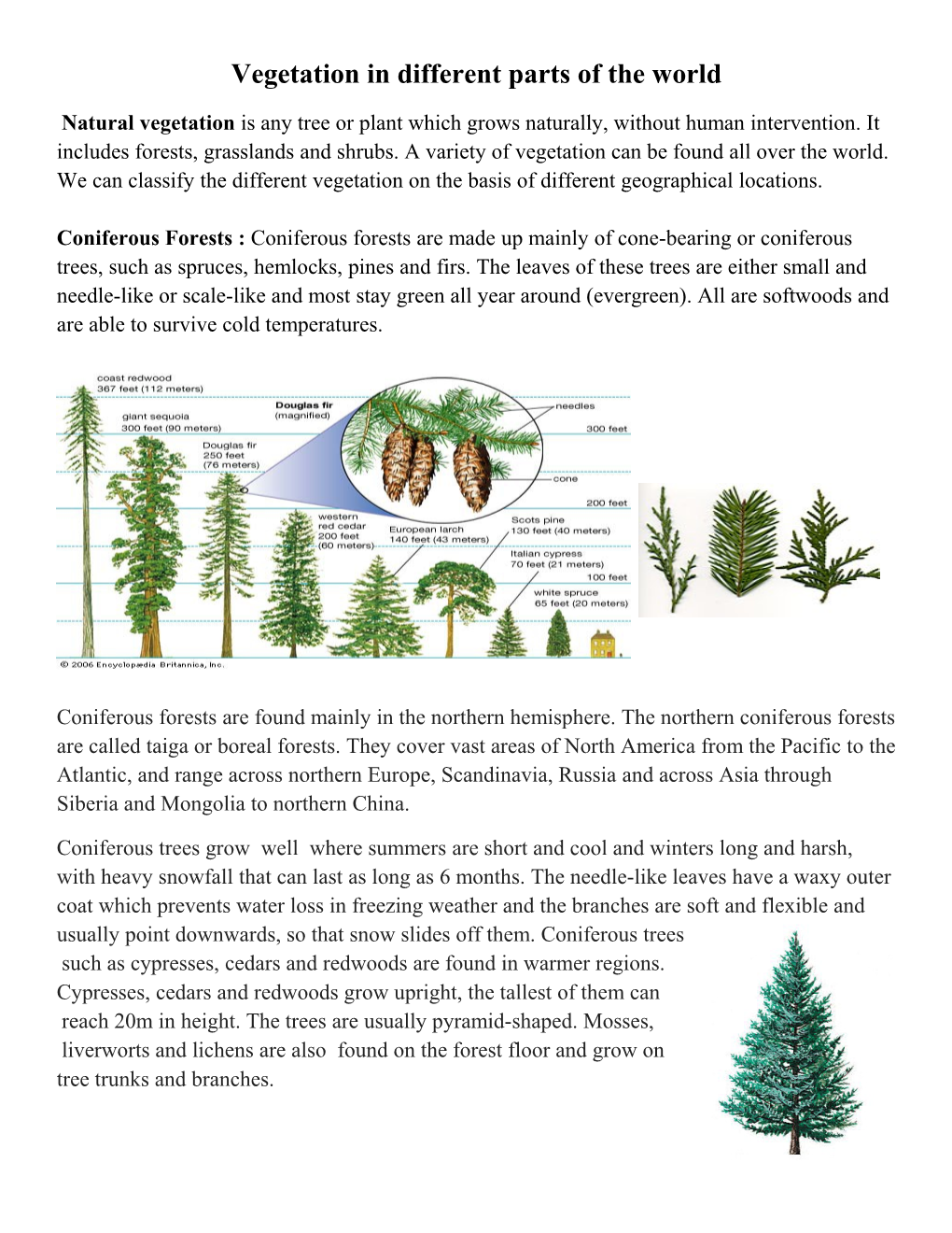 Vegetation in Different Parts of the World