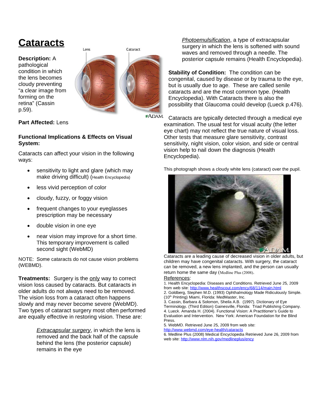 Functional Implications & Effects on Visual System