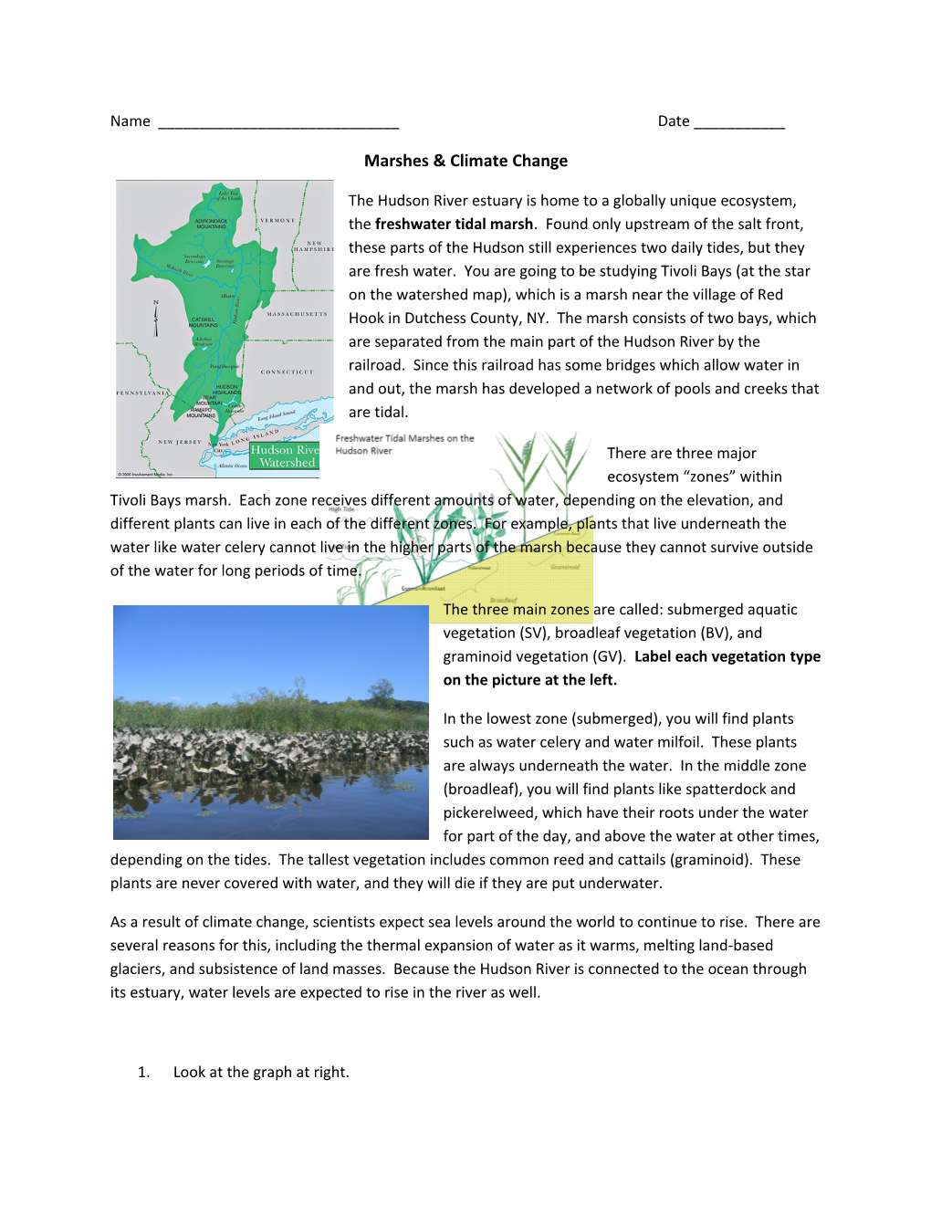 Marshes & Climate Change