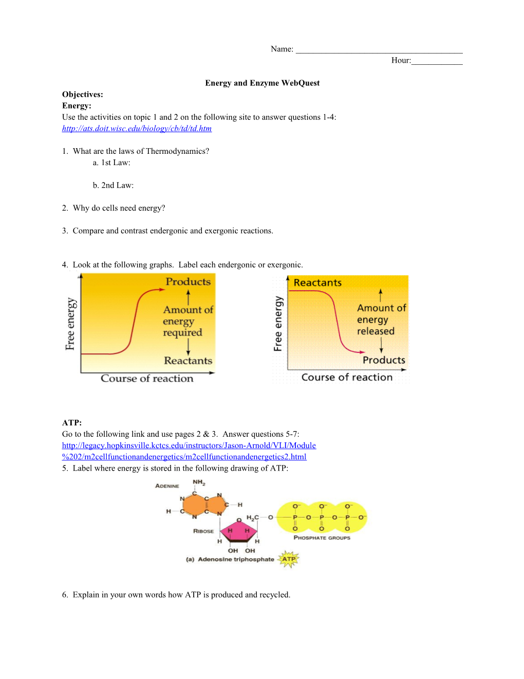 Energy and Enzyme Webquest