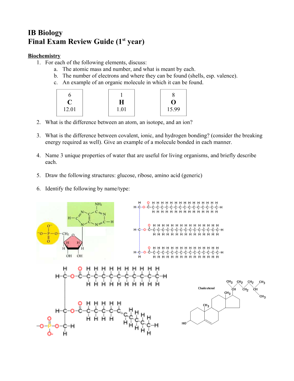 Final Exam Review Guide (1St Year)