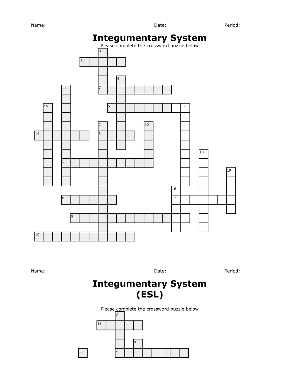 Integumentary System