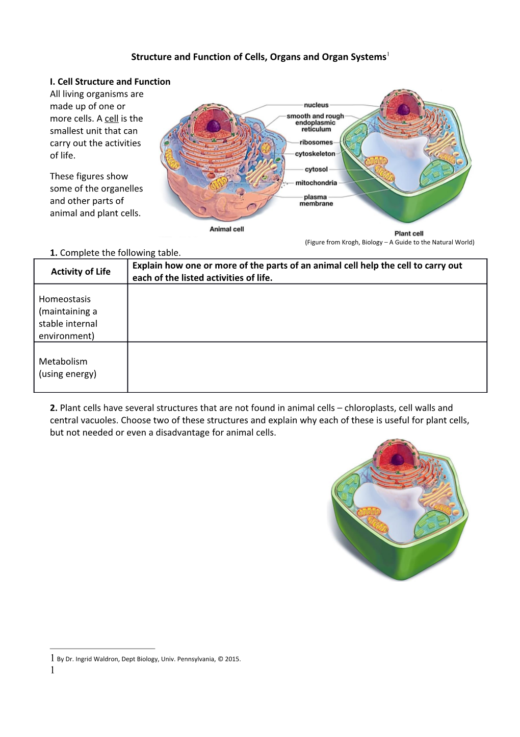 Structure and Function of Cells, Organs and Organ Systems 1