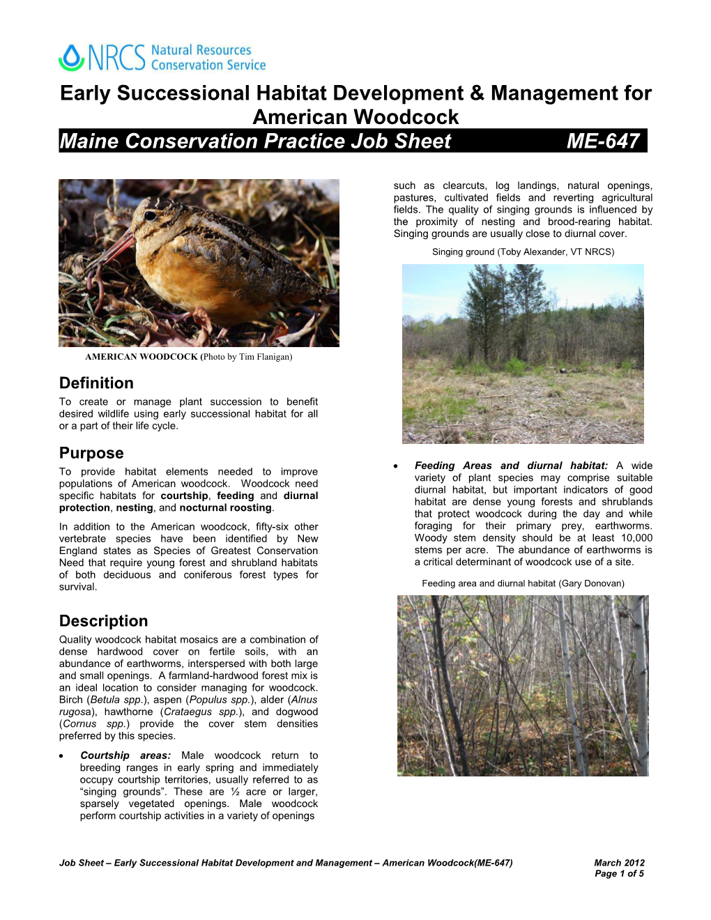 Early Successional Habitat Development & Management for American Woodcock