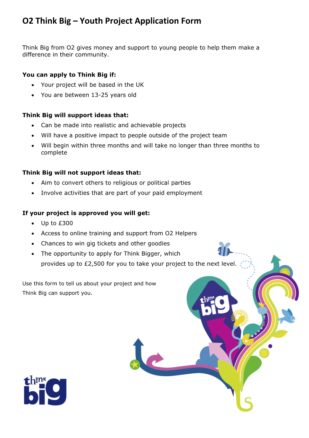 O2 Think Big Youth Project Application Form