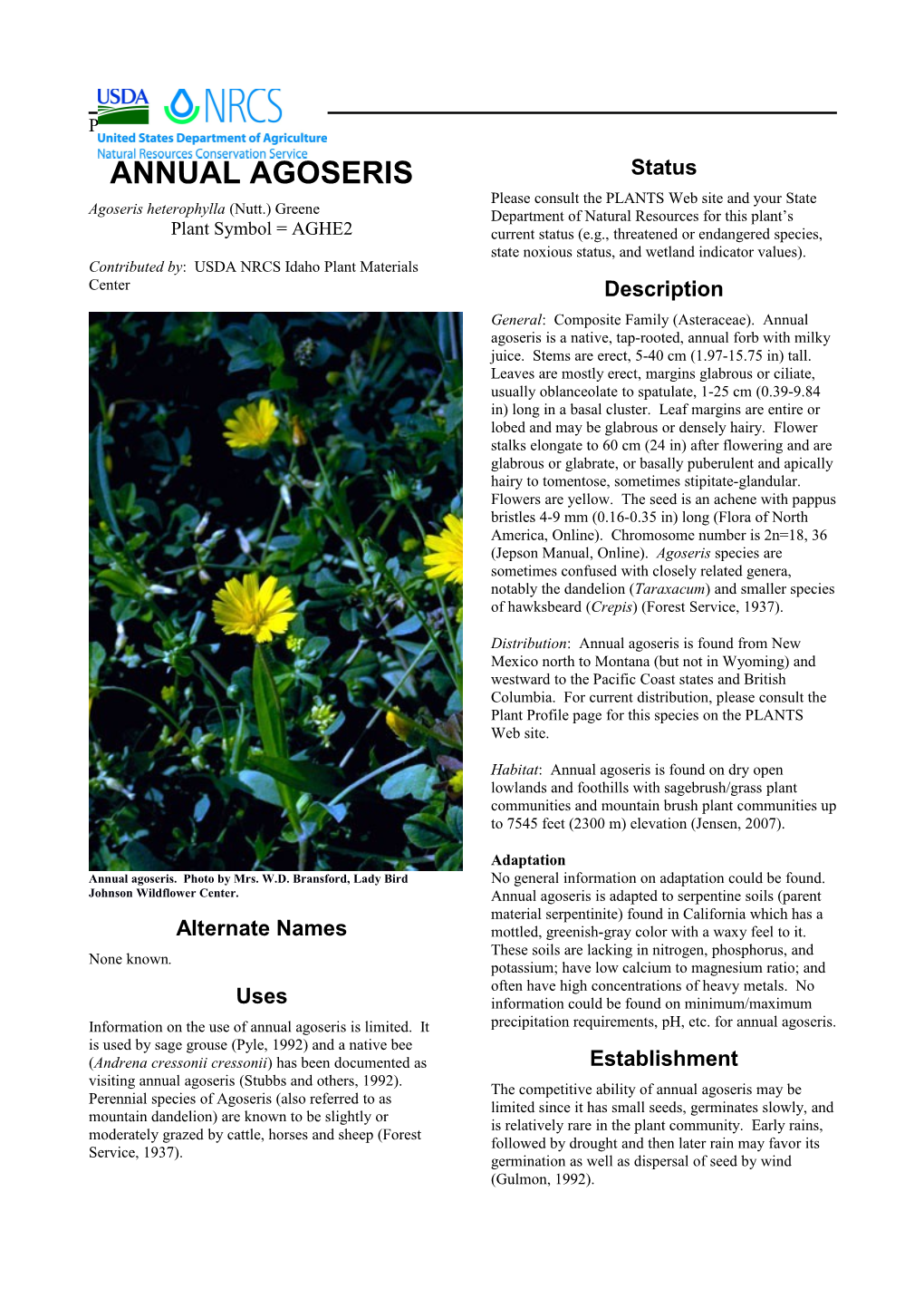 Plant Guide for Annual Agoseris (Agoseris Heterophylla)