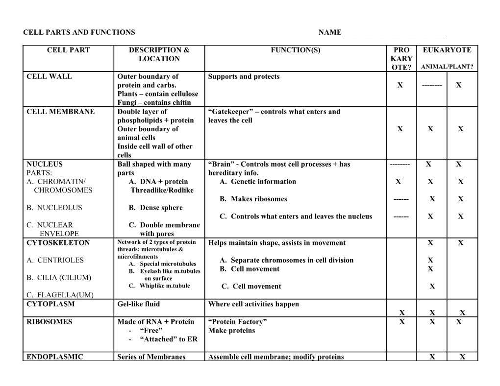 Cell Parts and Functions