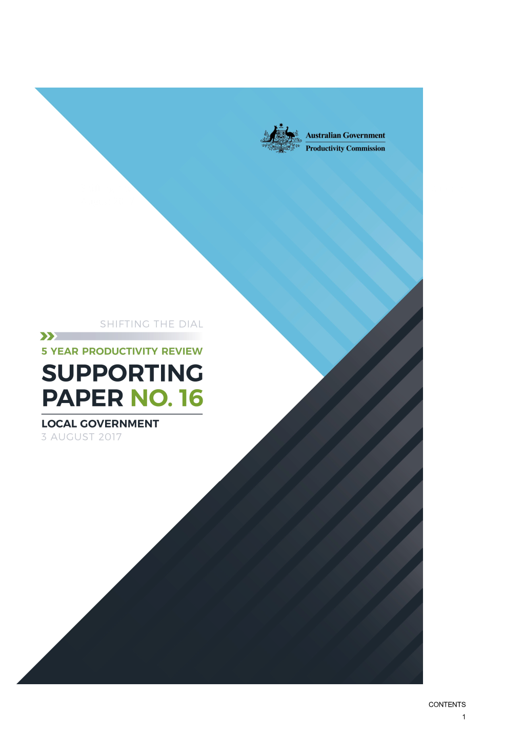 Supporting Paper 16: Local Government