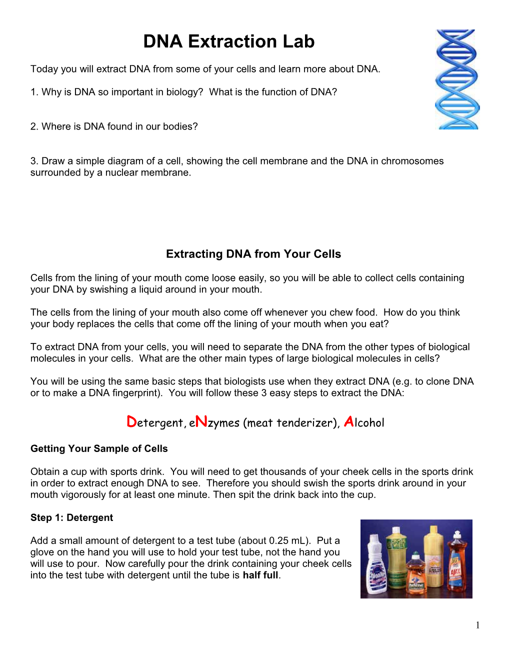 DNA Extraction from Cheek Cells Protocol I Mailed to You