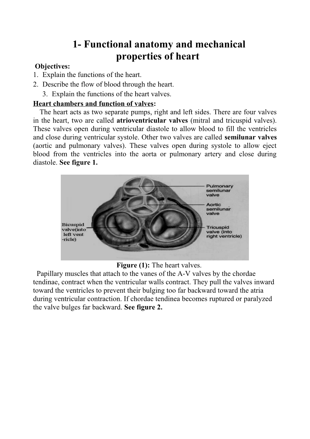 1- Functional Anatomy and Mechanical Properties of Heart