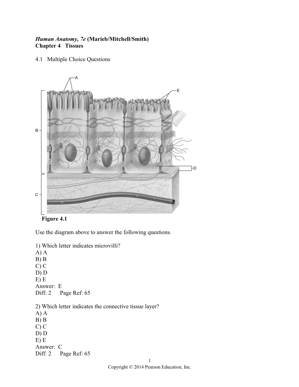 Human Anatomy, 7E (Marieb/Mitchell/Smith)